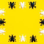 Sennik pluskwy – Co oznacza sen o pluskwach